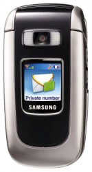 Descargar los temas para Samsung D730 gratis