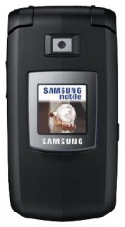 Descargar los temas para Samsung E480 gratis