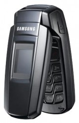 Themen für Samsung X300 kostenlos herunterladen