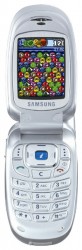Téléchargez des thèmes sous Samsung X450 gratuitement