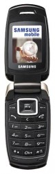 Descargar los temas para Samsung X500 gratis