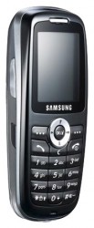 Descargar los temas para Samsung X620 gratis