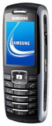Descargar los temas para Samsung X700 gratis