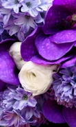 Téléchargez Gratuitement Des Images Bouquets Sur Votre