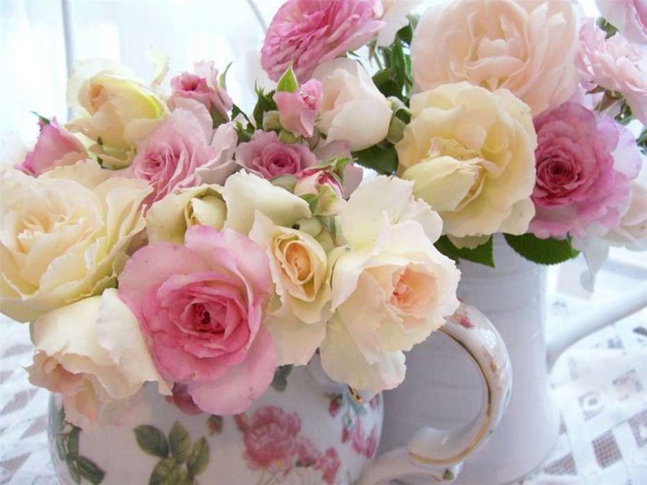 下载手机图片 植物 花卉 玫瑰 花束 免费
