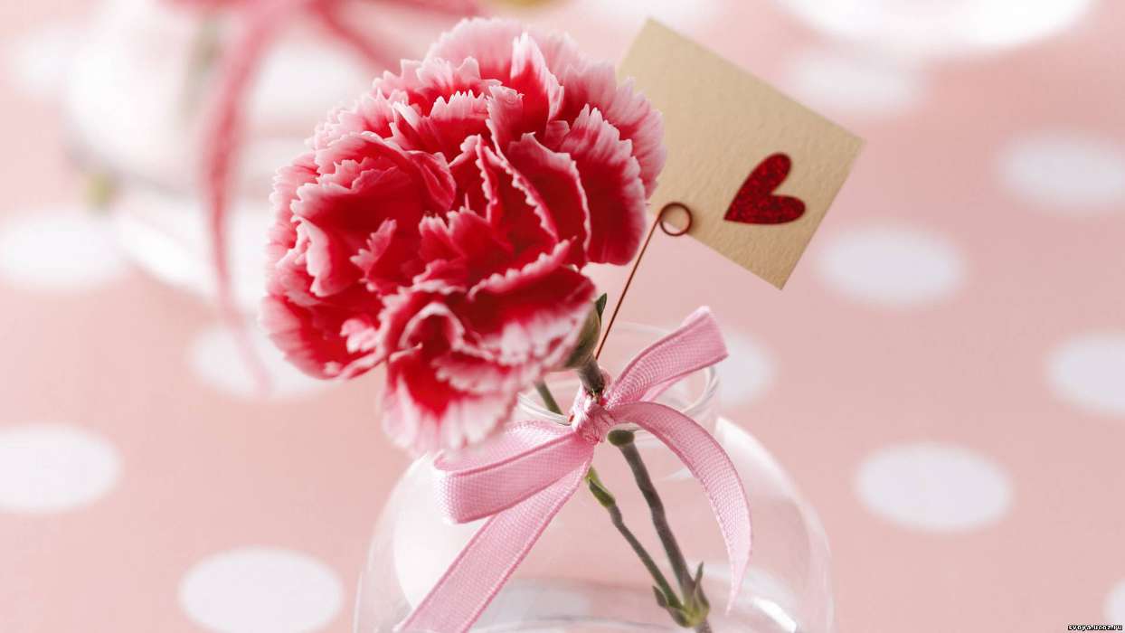 イメージを携帯電話にダウンロード 祝日 植物 フラワーズ 心 ラブ バレンタインデー カーネーション 無料