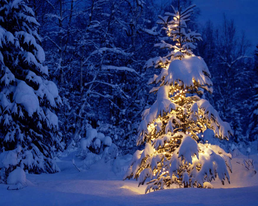 Download Bilder für das Handy: Feiertage, Winterreifen, Neujahr, Schnee