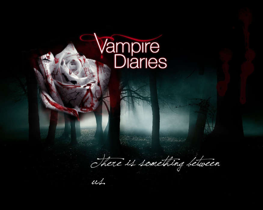 Baixar A Imagem Para Telefone Cinema The Vampire Diaries Grátis