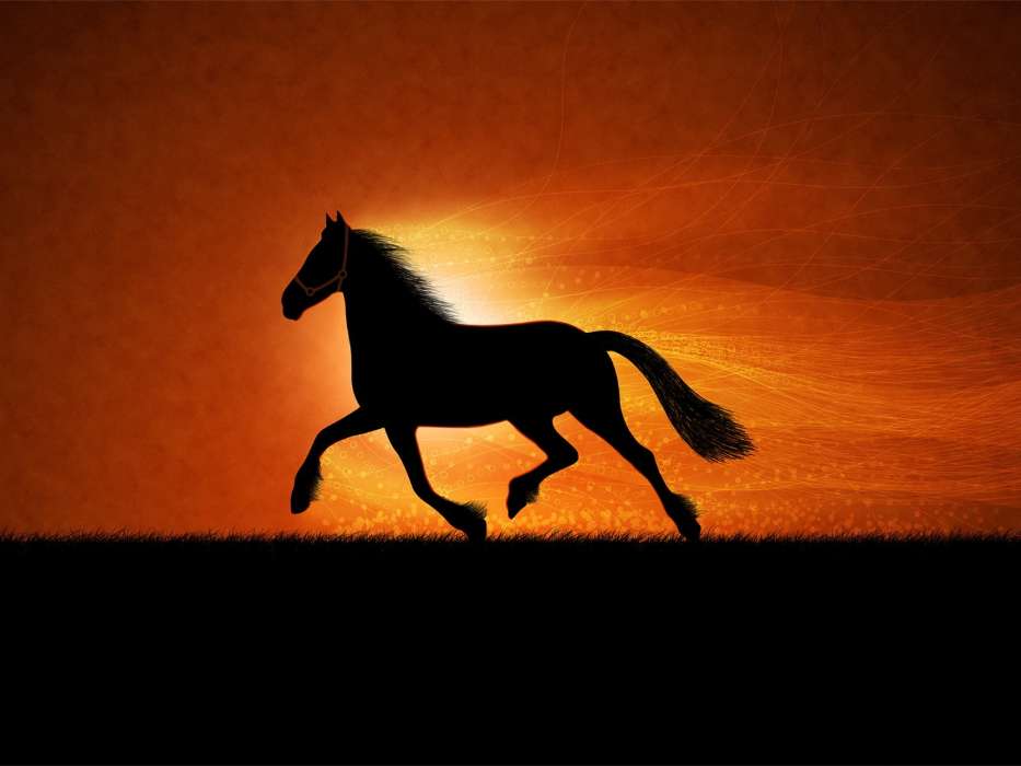 Featured image of post Pferde Hintergrundbilder Handy Tiere Tiere gehen als hintergrundbild immer