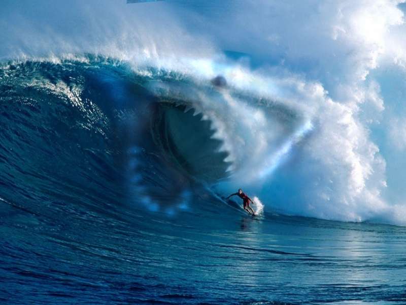 Baixar A Imagem Para Telefone Esportes Mar Surf Grátis 42665