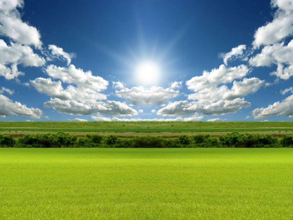 Download Mobile Wallpaper Landscape Grass Sky Clouds Free 20410