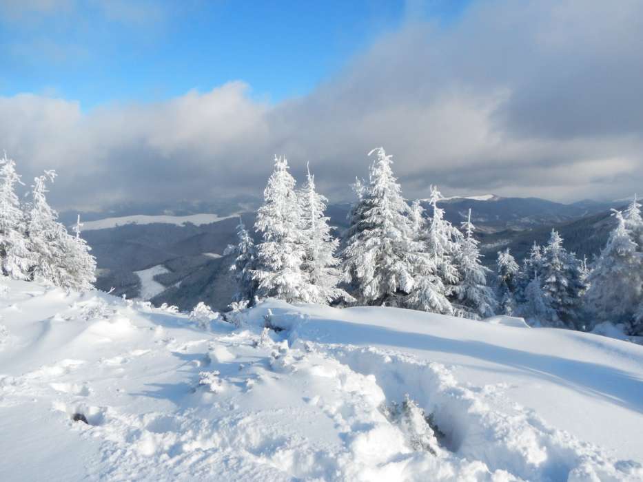 イメージを携帯電話にダウンロード: 風景, 冬, 自然, 雪、無料。44687。