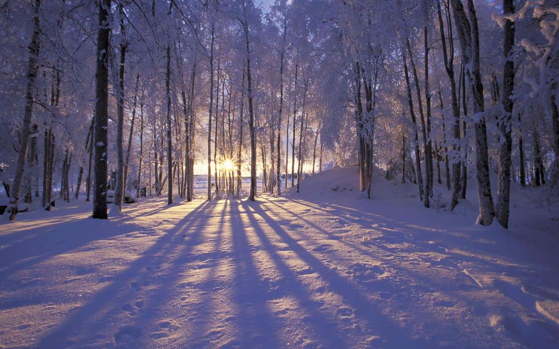Download Bilder Fur Das Handy Landschaft Winterreifen Schnee Kostenlos