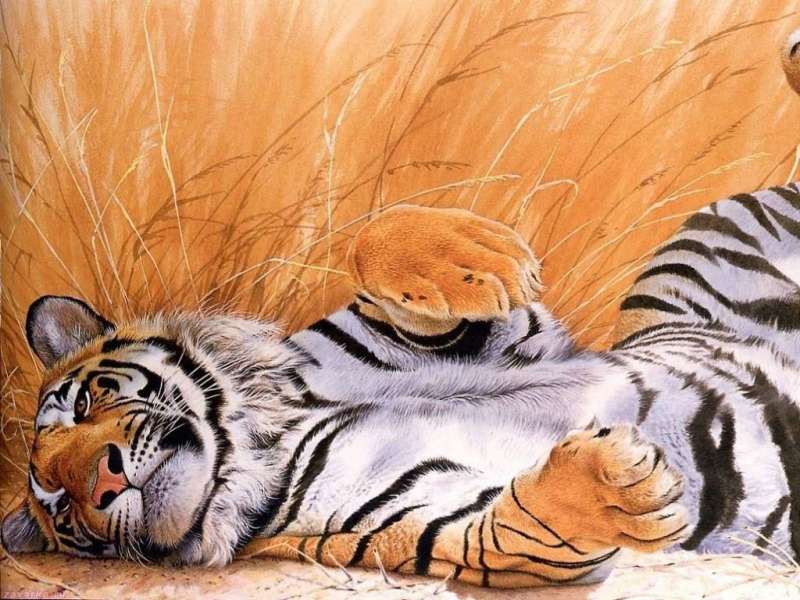 Download Bilder Fur Das Handy Tiere Tigers Kostenlos 325