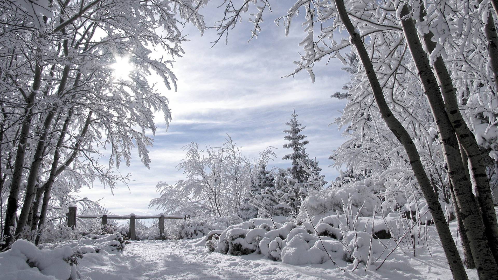イメージを携帯電話にダウンロード 風景 冬 雪 無料
