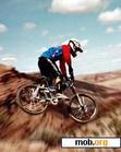 Download mobile theme Downhill