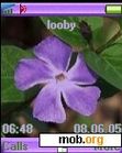 Download mobile theme Purple Flower