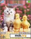 Download mobile theme Kitty and Ducks