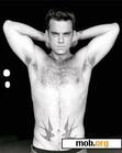 Download mobile theme Robbie Williams