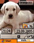 Download mobile theme Doggy