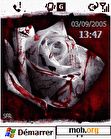 Download mobile theme Blood Roses