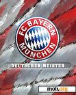 Download mobile theme FC Bayern Muenchen V.2