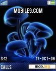 Download mobile theme Glowing Anemone