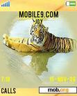 Download mobile theme tiger