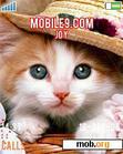 Download mobile theme kitty