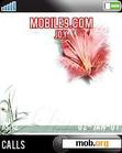 Download mobile theme flower