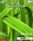 Download mobile theme Ladybird_V