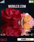 Download mobile theme Roses_V