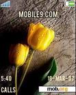 Download mobile theme tulip