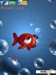 Download mobile theme Red Fish