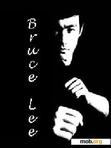 Скачать тему Bruce Lee