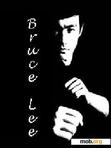 Download mobile theme Bruce Lee