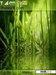 Download mobile theme Grass - animated water