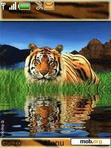 Download mobile theme Tiger Animated