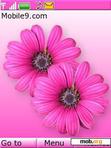 Download mobile theme flowers by shekhar