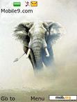 Download mobile theme Elephants