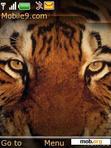 Download mobile theme Tiger