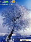 Download mobile theme Blue winter