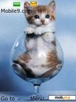 Download mobile theme cat in glass