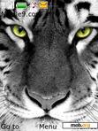 Download mobile theme tiger