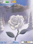 Download mobile theme Rose In Snow