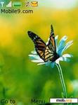 Download mobile theme butterfly on flower