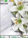 Download mobile theme lilies animated