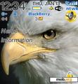 Download mobile theme bald eagle