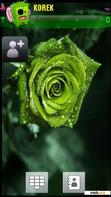 Download mobile theme green-rose