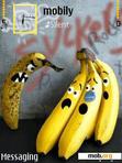 Download mobile theme crazy bananas